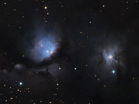M78 and NGC 2071