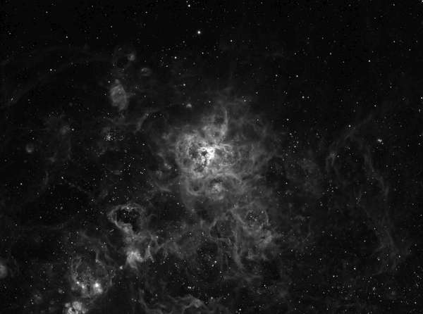 NGC2070 - Tarantula Nebula narrow band