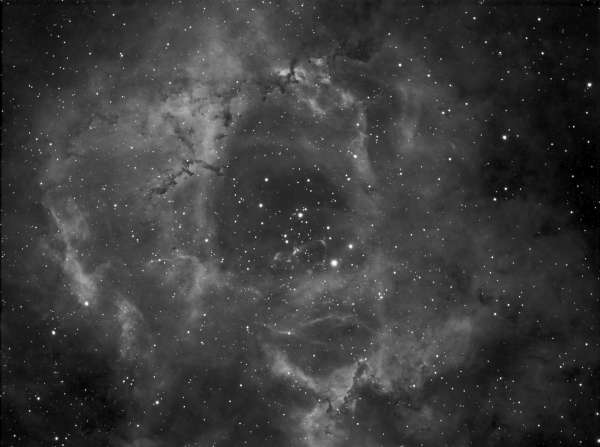 Rosette Nebula in hydrogen alpha