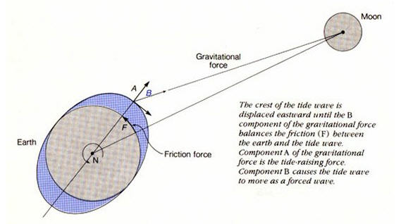 tidal gravitational force